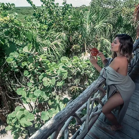 Hotel Hidden Treehouse Eco-hotel