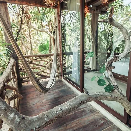 Hotel Hidden Treehouse Eco-hotel