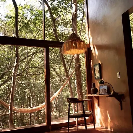 Villa Ojo De árbol, Boutique In The Real Jungle *