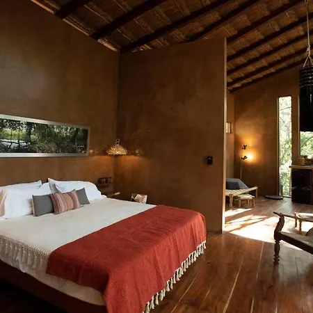 Ojo De árbol, Boutique In The Real Jungle