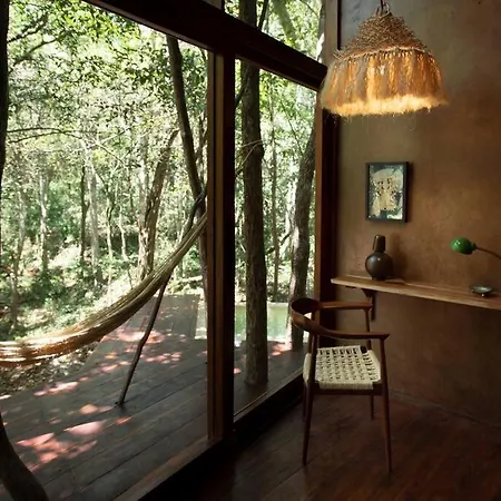 Ojo De árbol, Boutique In The Real Jungle