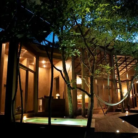 Ojo De árbol, Boutique In The Real Jungle Tulum