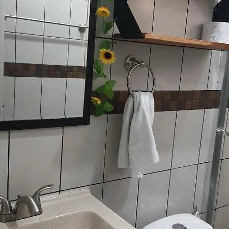 Apartment Casa Girasol *
