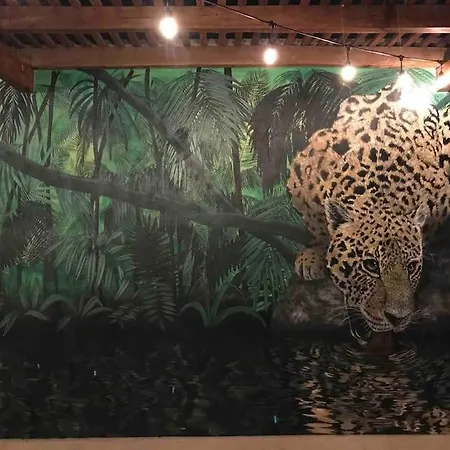 N35 Jungle Nest