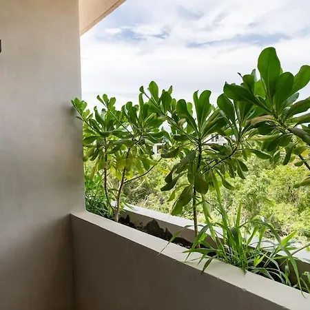 Apartment N35 Jungle Nest *