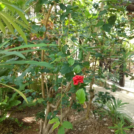 Hotel & Gardens