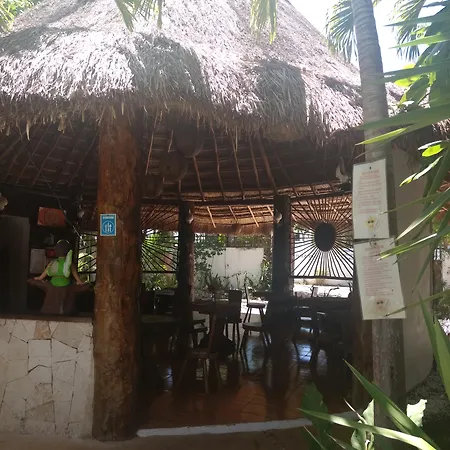 & Gardens 3* Tulum