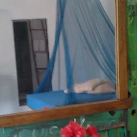 Apartment Papaya's Tulum
