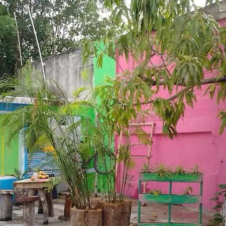 Papaya's Apartment *