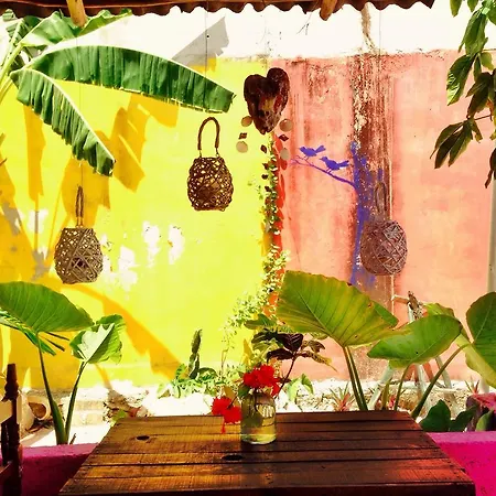 Apartment Papaya's Tulum
