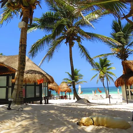 Hotel Shambala Petit