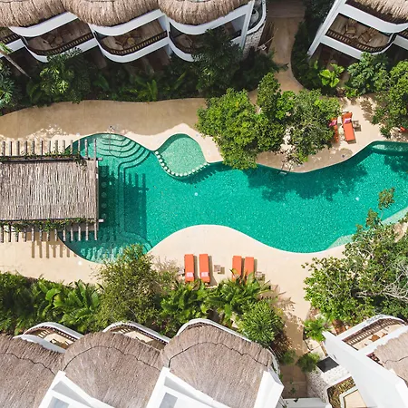 Hotel Aluna