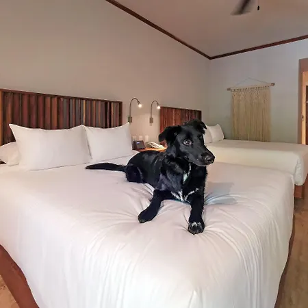 Aluna Hotel