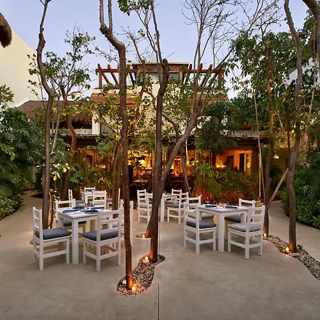 Hotel Aluna 5*