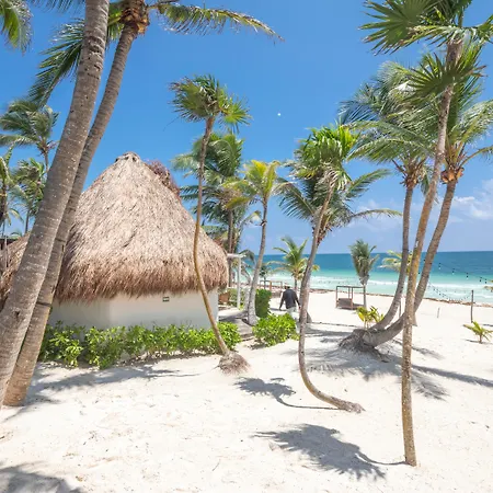Amigos Boutique Hotel 4*