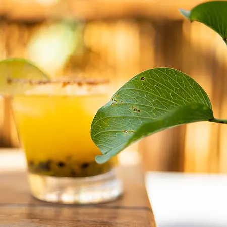 Aroma & Club Tulum