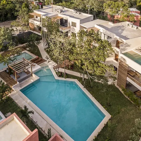 Panacea Tulum