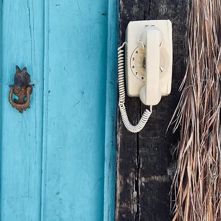 Pal Mar Glamtainer Tulum