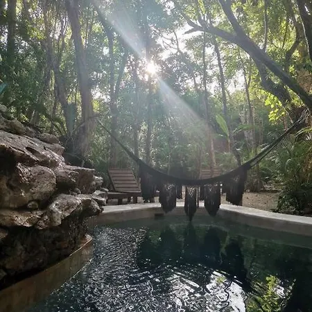 Agua & Selva Luxury Jungle Loft Apartamento