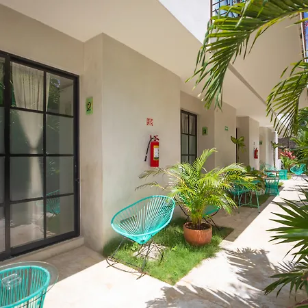 Turquoise (adults Only) 3*