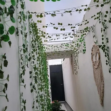 Casa Neptuno *