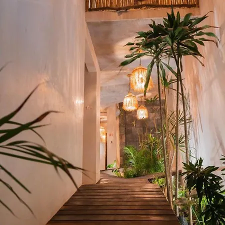 Xkeban Adults-only Weekend Party Hotel