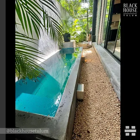 Black House *