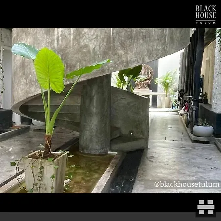 Apartahotel Black House *
