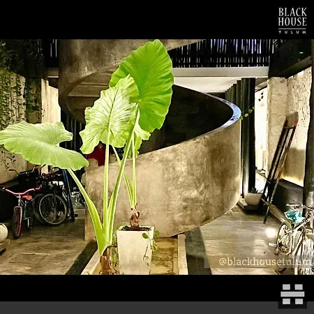 Black House * Tulum