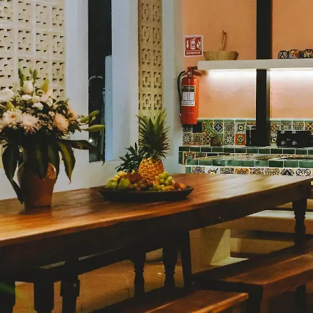 Hiphipstay - The Colonial Tulum