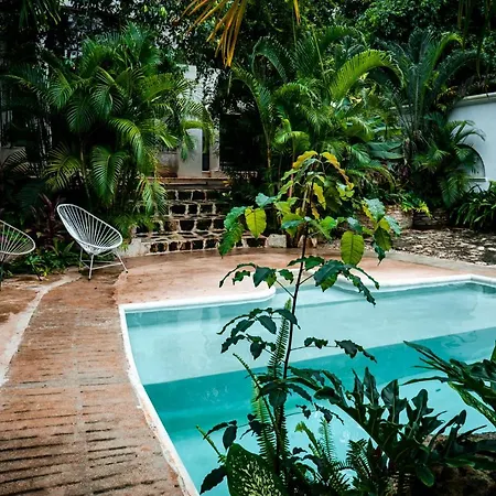 Hotel Mag - Ha Tulum