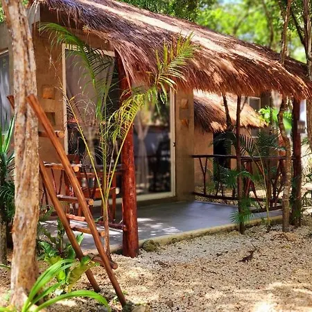 Kin Jungle Deluxe Guest house