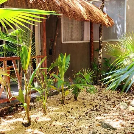Kin Jungle Deluxe 4* Tulum