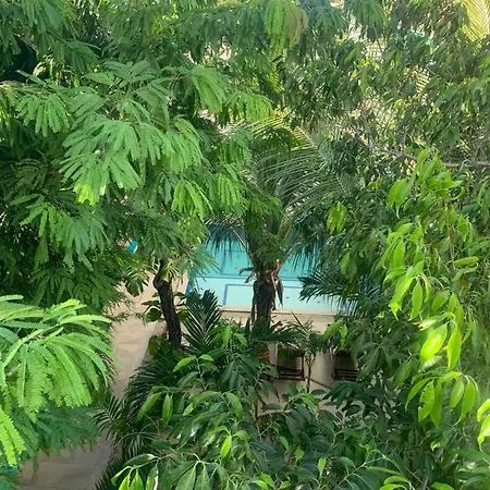 Arcos - Tulum