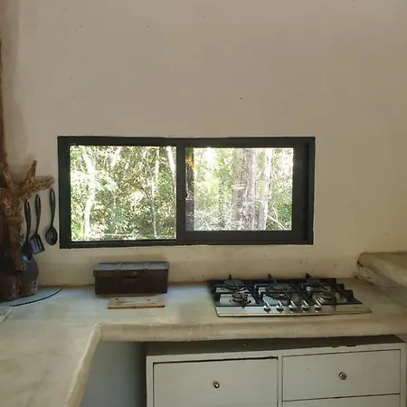 Selva Roca Tulum