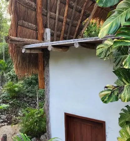 Selva Roca * Tulum