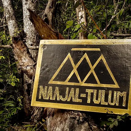 Hotel Naajal Boutique - Magic & Jungle 4*