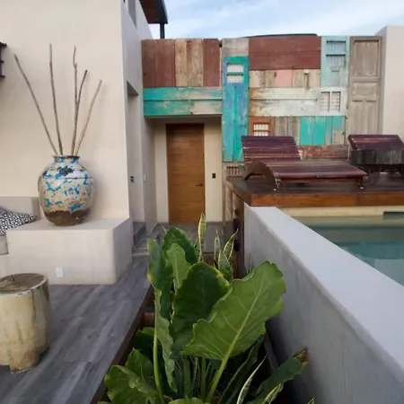 Stylish & Luxury Penthouse & Apartment, Private Pool, Private Hot Tub, Terrace And Roof At Jungle