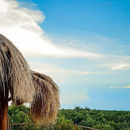 Hotel Naajal Boutique - Magic & Jungle