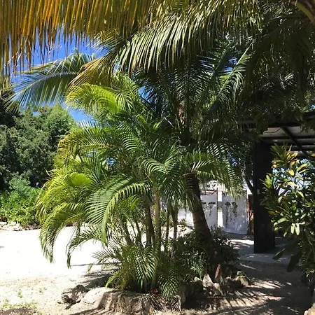 Veleta Hotel Tulum