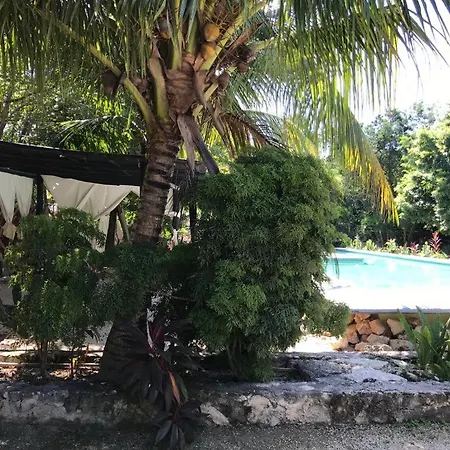 Veleta Tulum