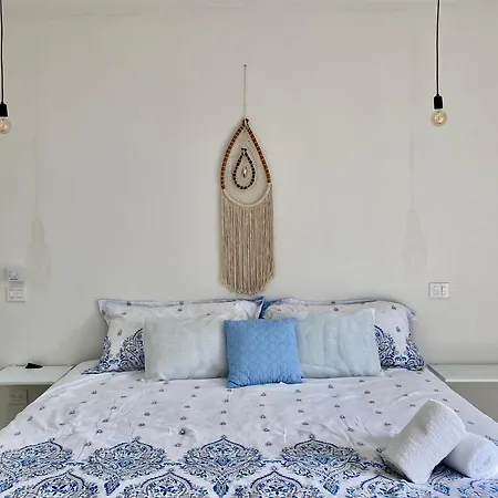 Rosa Azul 4*