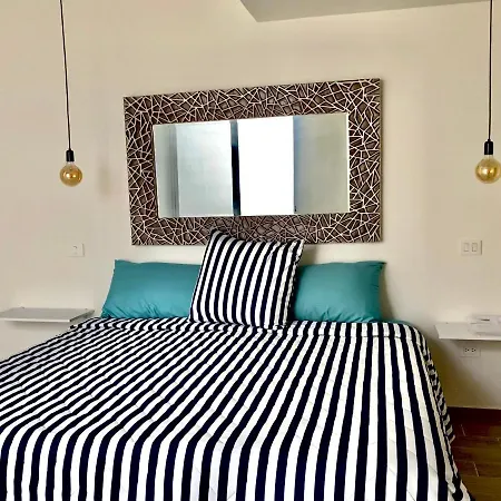 Rosa Azul 4*