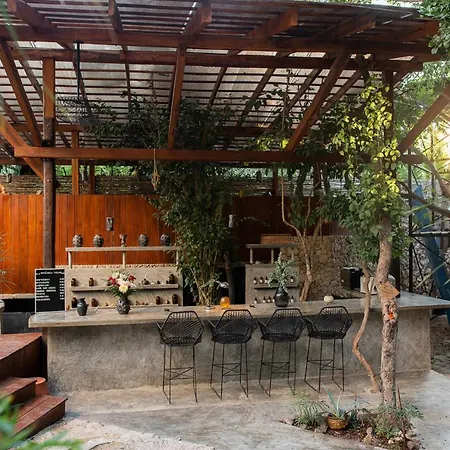 Botanica *