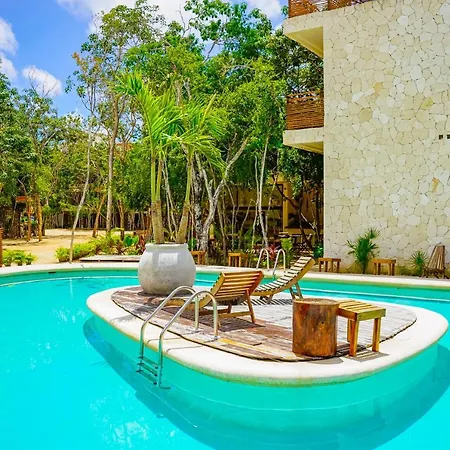 Hotel Selva Norte Cacao 204