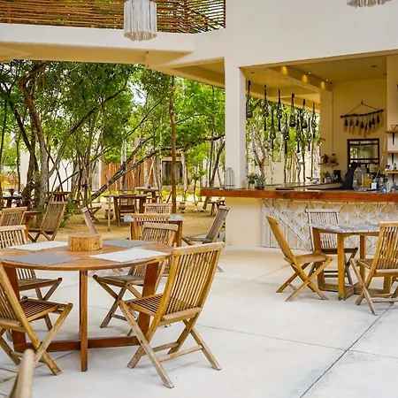 Selva Norte Cacao 204 Hotel Tulum