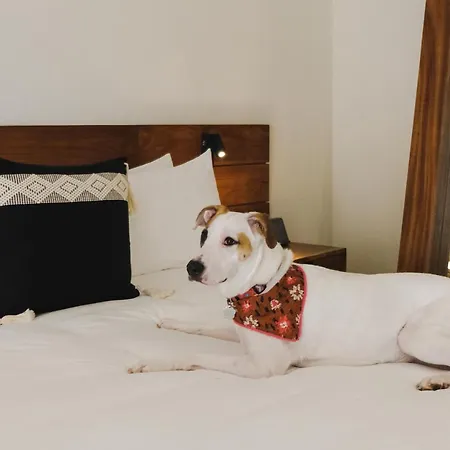 Aluna Hotel