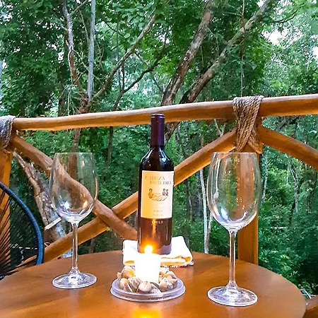 Hotel Naajal Boutique - Magic & Jungle