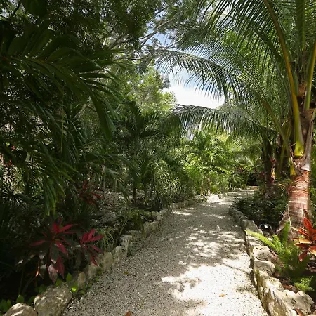Aldea Jo-yah * Tulum