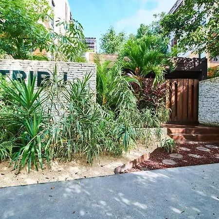 Tribu 205 Magical 1br Minutes From The Sea 50mb Wifi *